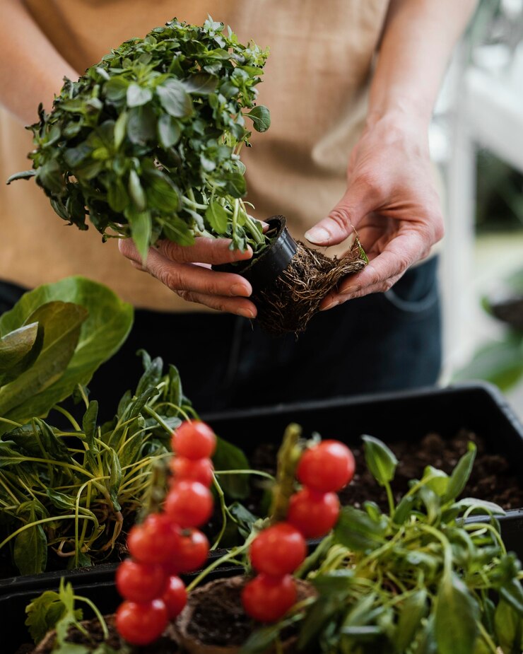 Beneficios de la horticultura en personas mayores