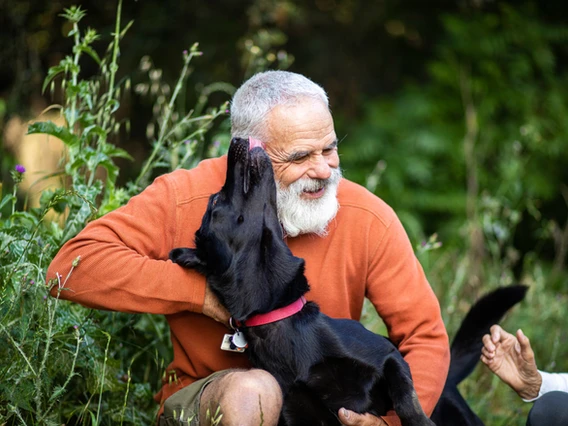 Perros y personas mayores, mucho más que compañeros