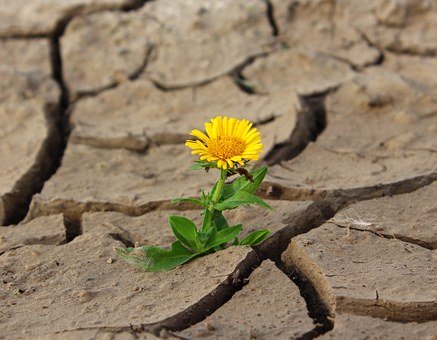 Lo que nos hace resilientes…